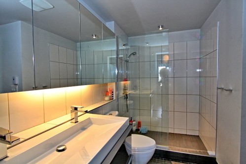 Salle de bains attenante à la CCP - 607-288 Rue Ann, Montréal (Le Sud-Ouest), QC - Indoor Photo Showing Bathroom