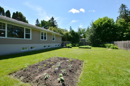 Cour - 693 Rue Victoria, Baie-D'Urfé, QC - Outdoor