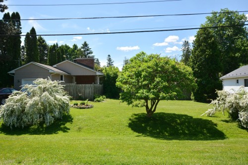 Cour - 693 Rue Victoria, Baie-D'Urfé, QC - Outdoor