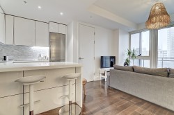 2009-1188 Av. Union Montréal (Ville-Marie), QC H3B 3A7