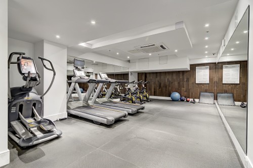 Exercise Room - 2009-1188 Av. Union, Montréal (Ville-Marie), QC - Indoor Photo Showing Gym Room