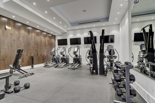 Exercise Room - 2009-1188 Av. Union, Montréal (Ville-Marie), QC - Indoor Photo Showing Gym Room