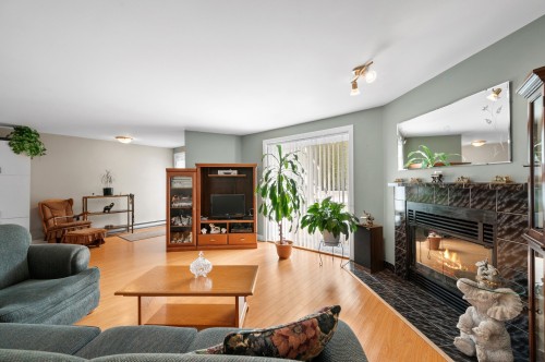 Salon - 1206 Av. Du Parc, Saint-Jérôme, QC - Indoor Photo Showing Living Room With Fireplace