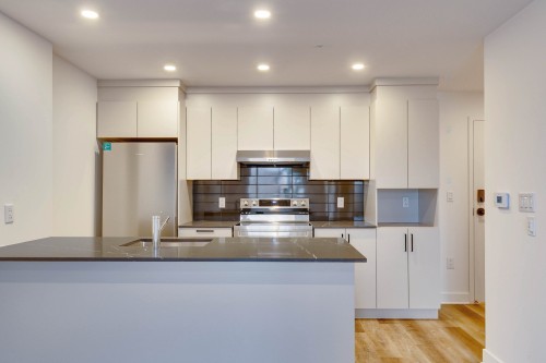 Kitchen - 402-1620 Boul. De La Côte-Vertu, Montréal (Saint-Laurent), QC - Indoor Photo Showing Kitchen