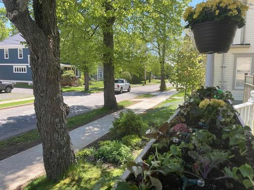 216 Brookside Avenue, New Glasgow, NS 