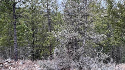 160 Purcell Place, Cranbrook, BC - Outdoor With View