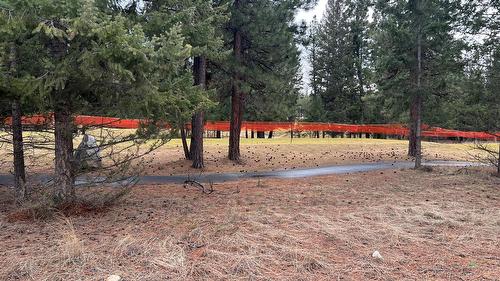 160 Purcell Place, Cranbrook, BC - Outdoor With View