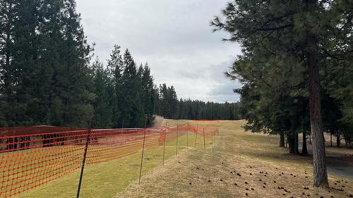 160 Purcell Place, Cranbrook, BC - Outdoor With View