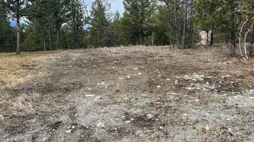 160 Purcell Place, Cranbrook, BC - Outdoor