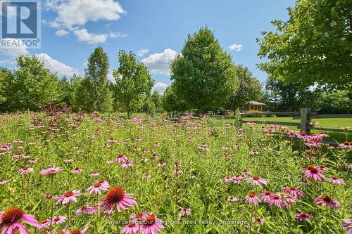 3088 Concession 7 Road, Clarington, ON 