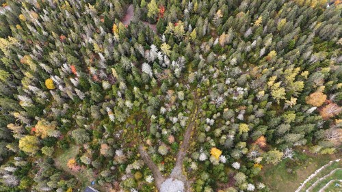 Terre/Terrain - Rue Du Cerf, Val-David, QC 