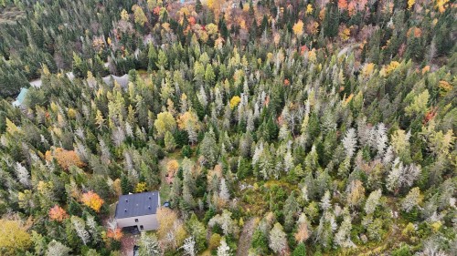 Terre/Terrain - Rue Du Cerf, Val-David, QC 