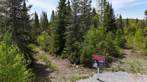 Terre/Terrain - Rue Du Cerf, Val-David, QC 