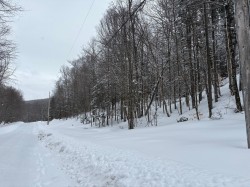 Ch. du Lac-Richer S.  Montcalm, QC J8C 2Z7