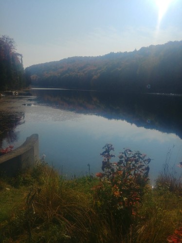 Accès au plan d'eau - Ch. Du Lac-Richer S., Montcalm, QC 