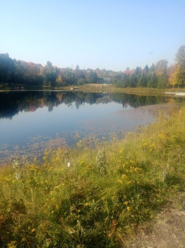 Accès au plan d'eau - Ch. Du Lac-Richer S., Montcalm, QC 