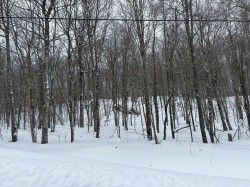 Ch. du Lac-Richer S.  Montcalm, QC J8C 2Z7