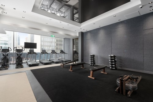 Common room - 4709-720 Rue St-Jacques, Montréal (Ville-Marie), QC - Indoor Photo Showing Gym Room