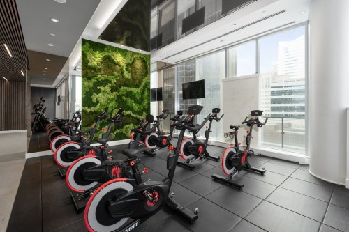 Common room - 4709-720 Rue St-Jacques, Montréal (Ville-Marie), QC - Indoor Photo Showing Gym Room