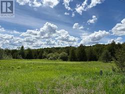 9161 ERIN-GARAFRAXA TOWNLINE Erin, ON L0N 1N0