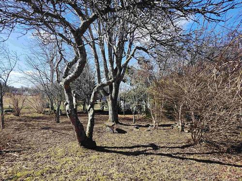 1247 Sandy Point Road, Sand Point, NS 