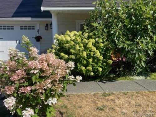 1167 Tara Rd, Comox, BC 