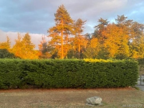 1167 Tara Rd, Comox, BC 