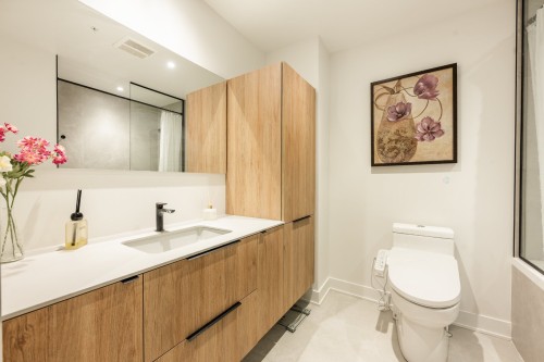 Salle de bains - 206-399 Rue De La Rotonde, Montréal (Verdun/Île-Des-Soeurs), QC - Indoor Photo Showing Bathroom