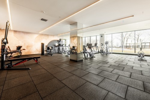 Salle d'exercice - 206-399 Rue De La Rotonde, Montréal (Verdun/Île-Des-Soeurs), QC - Indoor Photo Showing Gym Room
