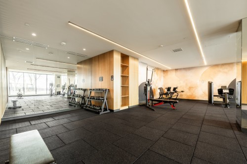 Salle d'exercice - 206-399 Rue De La Rotonde, Montréal (Verdun/Île-Des-Soeurs), QC - Indoor
