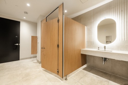 Autre - 206-399 Rue De La Rotonde, Montréal (Verdun/Île-Des-Soeurs), QC - Indoor Photo Showing Bathroom