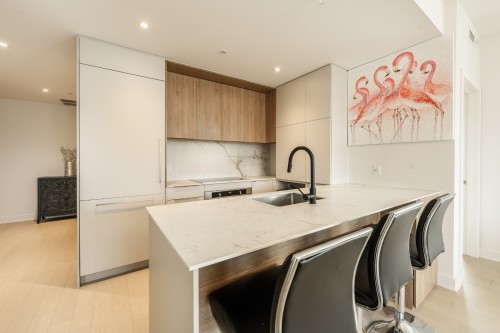 Cuisine - 206-399 Rue De La Rotonde, Montréal (Verdun/Île-Des-Soeurs), QC - Indoor Photo Showing Kitchen