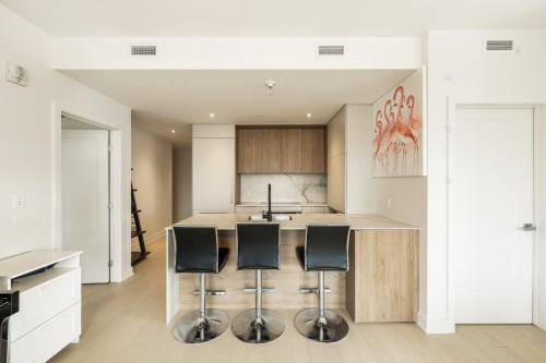 Cuisine - 206-399 Rue De La Rotonde, Montréal (Verdun/Île-Des-Soeurs), QC - Indoor Photo Showing Kitchen