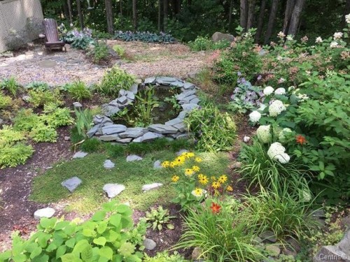 Courtyard - 34 Rue Desaulniers, Shefford, QC - Outdoor