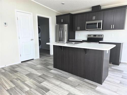 93 Prairie Oaks Drive, Mitchell, MB - Indoor Photo Showing Kitchen With Upgraded Kitchen