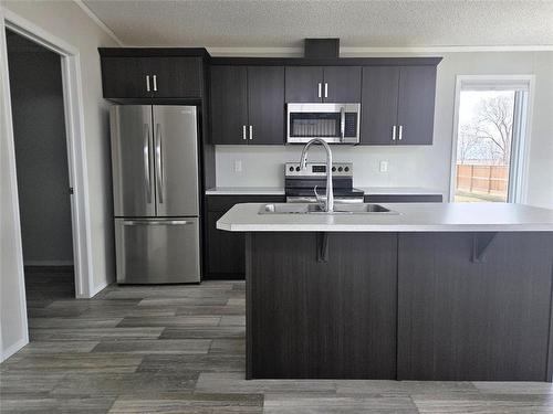 93 Prairie Oaks Drive, Mitchell, MB - Indoor Photo Showing Kitchen With Double Sink