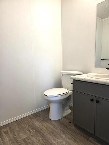 61 Prairie Oaks Drive, Mitchell, MB - Indoor Photo Showing Bathroom