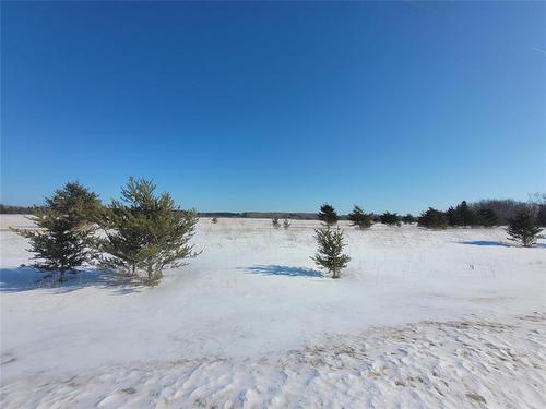 0 Barthelette Road, Marchand, MB 