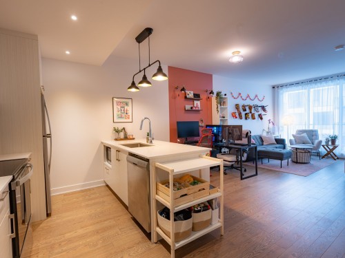 Overall view - 516B-1400 Rue Ottawa, Montréal (Le Sud-Ouest), QC - Indoor