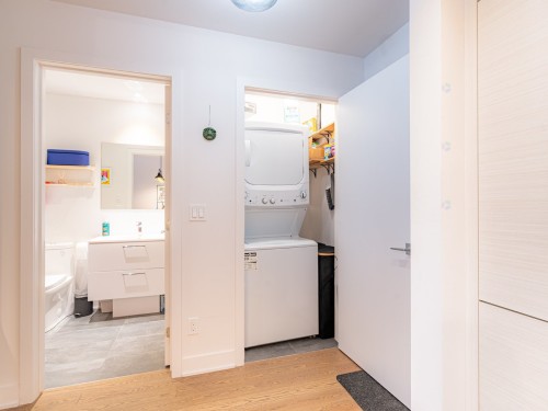 Bathroom - 516B-1400 Rue Ottawa, Montréal (Le Sud-Ouest), QC - Indoor Photo Showing Laundry Room