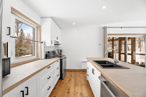 Kitchen - 1500 10E Rang, Val-David, QC - Indoor Photo Showing Kitchen With Double Sink