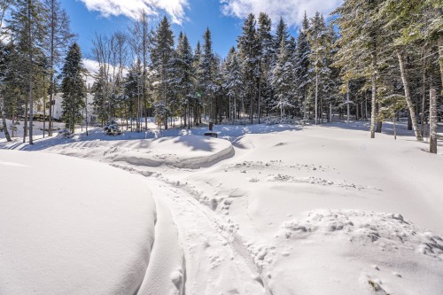 Courtyard - 1500 10E Rang, Val-David, QC - Outdoor With View