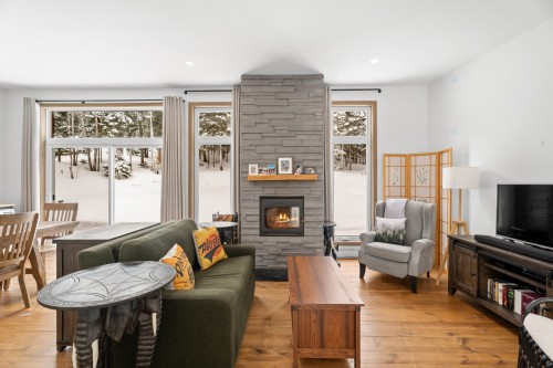 Living Room - 1500 10E Rang, Val-David, QC - Indoor Photo Showing Living Room With Fireplace