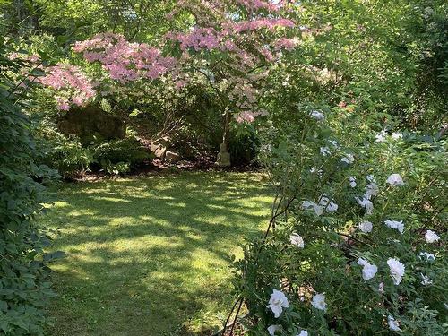 24 Hamshaw Drive, Halifax, NS 