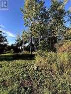 523 LOWER OAK LEAF ROAD Leeds And The Thousand Islands, ON K0E 1B0