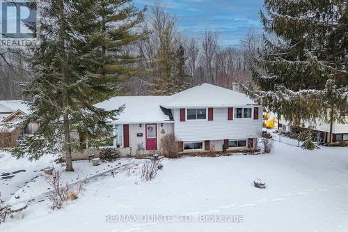 527 MONTROSE ROAD  Quinte West (Sidney Ward), ON K8R 1B2