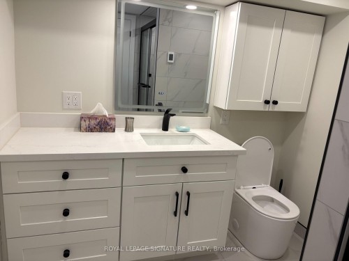 Shared Basement-9 Breadner Drive, Toronto, ON - Indoor Photo Showing Bathroom