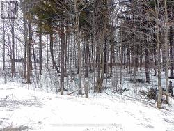 8949 WELLINGTON RD 22 ROAD  Erin, ON N0B 1Z0