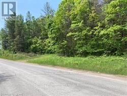 338 GLEN ALLEN ROAD S  Marmora And Lake (Marmora Ward), ON K0K 2M0