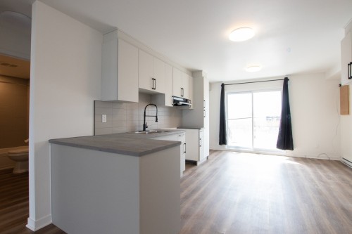 Cuisine - 1-189 Rue Hector-Lanthier, Saint-Eustache, QC - Indoor Photo Showing Kitchen